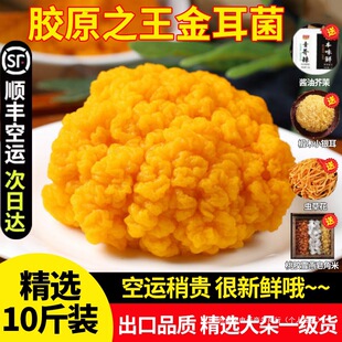 ���r���������خa�S����Sľ���Ǹ�؛�y��������S��500g�Ҝ���