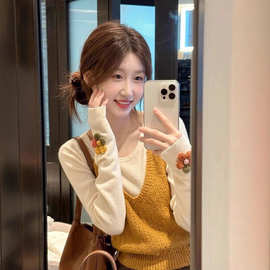 2025早秋超火一整套气质轻熟穿搭韩系慵懒风软糯针织背心两件套装