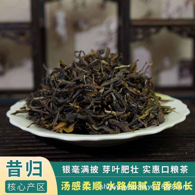 Yunnan Manglushan 2023 Xigui Pu'er Raw Tea Loose Leaf Spring Tea, Loose Leaf Tea in Bags