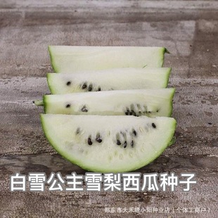 ��ѩ����ѩ�����ϷN��ѩ��������ɫ��ȿ�YƷС���ϷN�ѱ�Ƥ��ɫ��