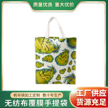 厂家供应无纺布覆膜手提袋帆布购物袋培训班广告袋子logo图案