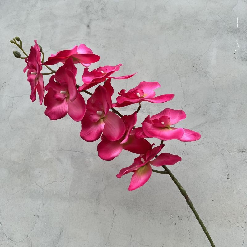 Butterfly Orchid Artificial Flower Centerpiece for Living Room Coffee Table, Wedding Decor, Artificial Butterfly Orchid Flower Arrangement