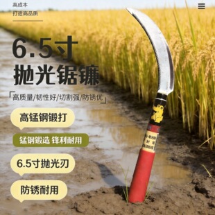 6.5�璁���砵��i��h�������r�ø�ݸ��砵�fungƷ�ƺӱ��a