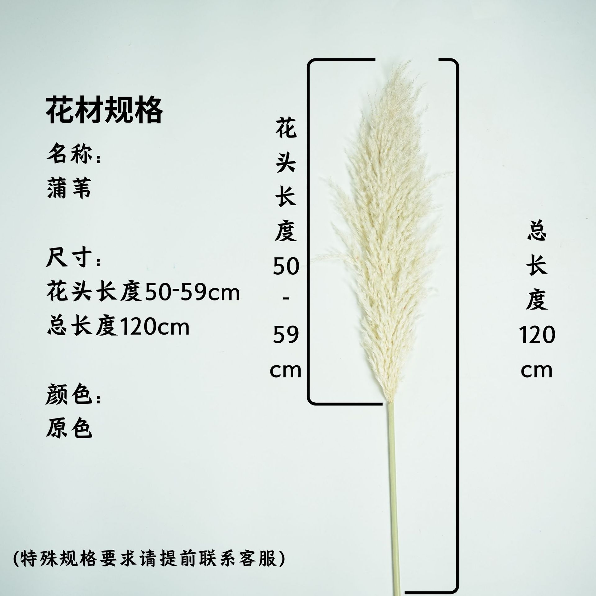 꽃머리 50~59cm 오리지널 컬러 (대외 무역 품질, 깃털이 거의 없음)