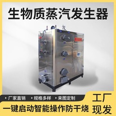 バイオマス粒子蒸気発生器ホテル食堂温室暖房人工温泉恒温高温蒸気ボイラー