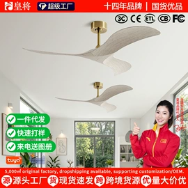 风扇灯;电风扇;吊扇