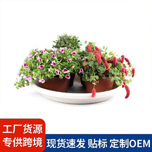 TELSLYAϻбP ӺØ֬е׵ ˮP