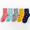 Cute cartoon three dimensional knee socks, mid-length, wholesale