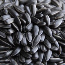 油葵黑珍珠瓜子生香5斤年货小油葵花籽2斤炒货熟奶油薄盐原味零食