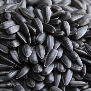 �Ϳ��������������5����؛С�Ϳ�����2�ﳴ؛�����ͱ��}ԭζ��ʳ