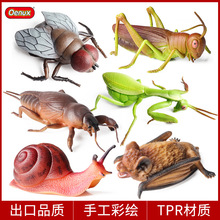 动物仿真模型儿童认知捏捏乐软胶蝙蝠螳螂苍蝇蜗牛土狗虫昆虫玩具