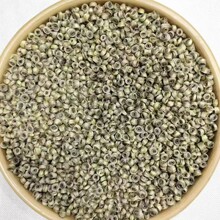 【女儿环中环】广西横县茉莉花茶 香气浓郁清甜可口厂家散茶批发