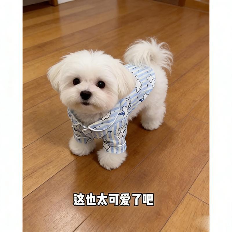 Ropa de Protección Solar para Mascotas Anticaída de Pelo y Ligera para Verano y Hogar image 3