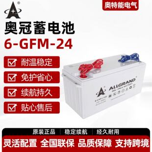 �W����늳�6-GFM-24 ����12V24AH��늙��ṩ�h��ָ�����b�{ԇ