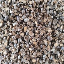 Ұɽ��D�x��ʭ�ŝ��x���x�F�������x��؛��ؓ�����؛��