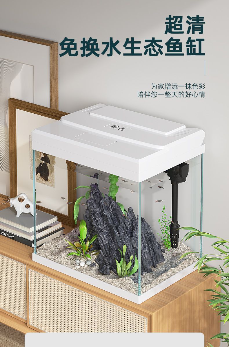 9b9f7c27-767a-4c00-afd3-b4ebee0c9c65.jpe