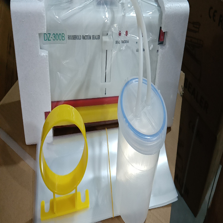 Máquina de vacío doméstica Mini máquina de sellado Mini máquina de vacío 300 máquina de vacío de separación seca y húmeda