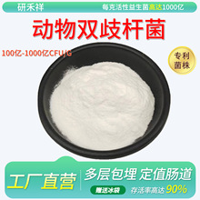 pU1000| ɷ ߻ʳƷۏSҬF؛