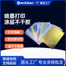 �����z��ӡ����ī��ˮpet���𲻸��zA4͸���˺��N���ٸɏS�����l