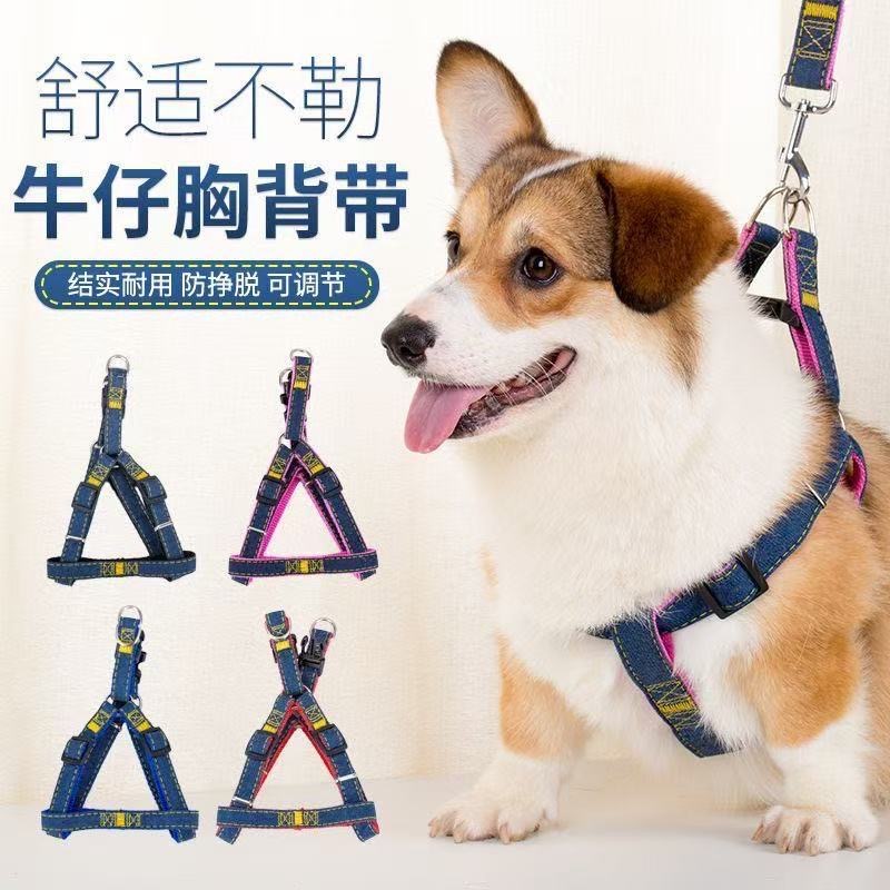 狗狗牵引绳批发跨境牛仔胸背带泰迪金毛猫狗外出专用防爆冲遛狗绳