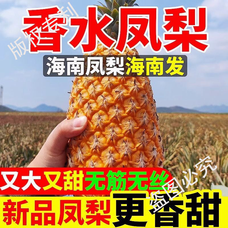 Authentic Hainan Golden Diamond Pineapple Fresh Fruit Seasonal Selection Pineapple Hand-Shred Large Fruit Whole Box Specialty Free Shipping