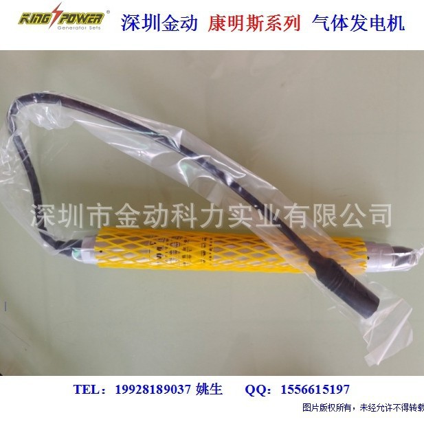 发电机火花塞型号12301641 1234755  12452074  1245835 12344843