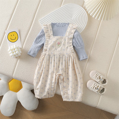 女の子2025春の新商品乳幼児かわいい2点セットカジュアル長袖tシャツバックパンツセット外着服