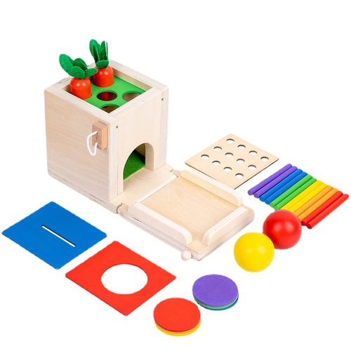 Montessori four-in-one coin box multifunctional inserting stick and pulling out carrots for young children building blocks color matching intelligence box toys