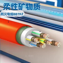 �S��ֱ�N���l�V���|���˷�����|BBTRZ 0.6/1KV