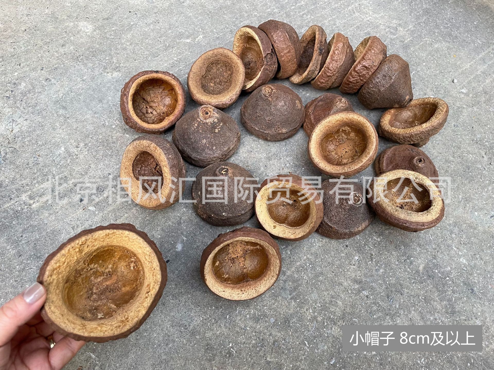 小帽子8cm及以上-6.jpg