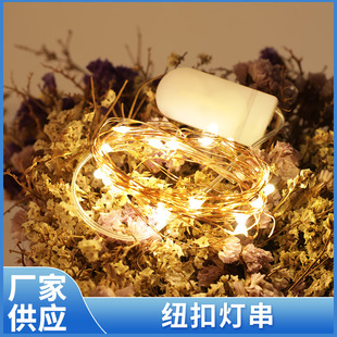 led copper wire lamp button battery box light string holiday party Christmas light cake Bouquet decoration small colored light string