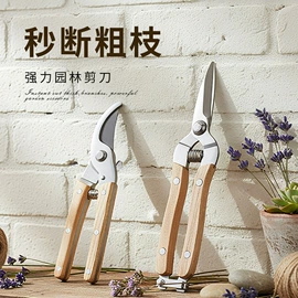 修枝剪;办公剪刀;厨用剪刀