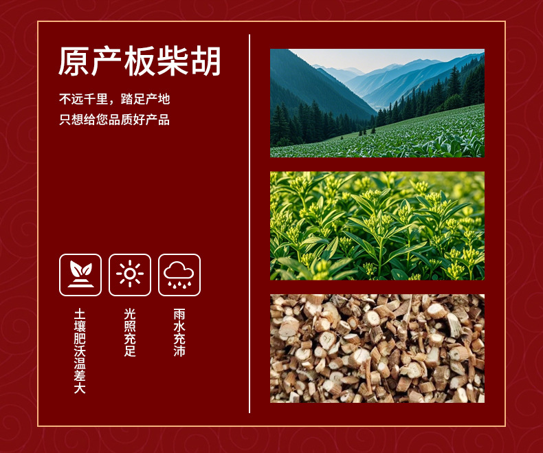 Chai Hu Powder Bupleurum Chinese Herbal Powder 500g Fine Ground Shanxi Origin key features