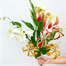 仿真花 手感火焰百合 嘉兰北欧酒店婚庆摆件布景家居软装工程假花