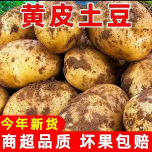 ɽ�|���r�����a��ֱ�l�SƤ�S���R��������r���ԷN�߲˲�����l