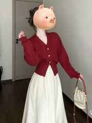设计感穿搭配一整套长裙女秋季2025新款红色针织连衣裙子两件套装