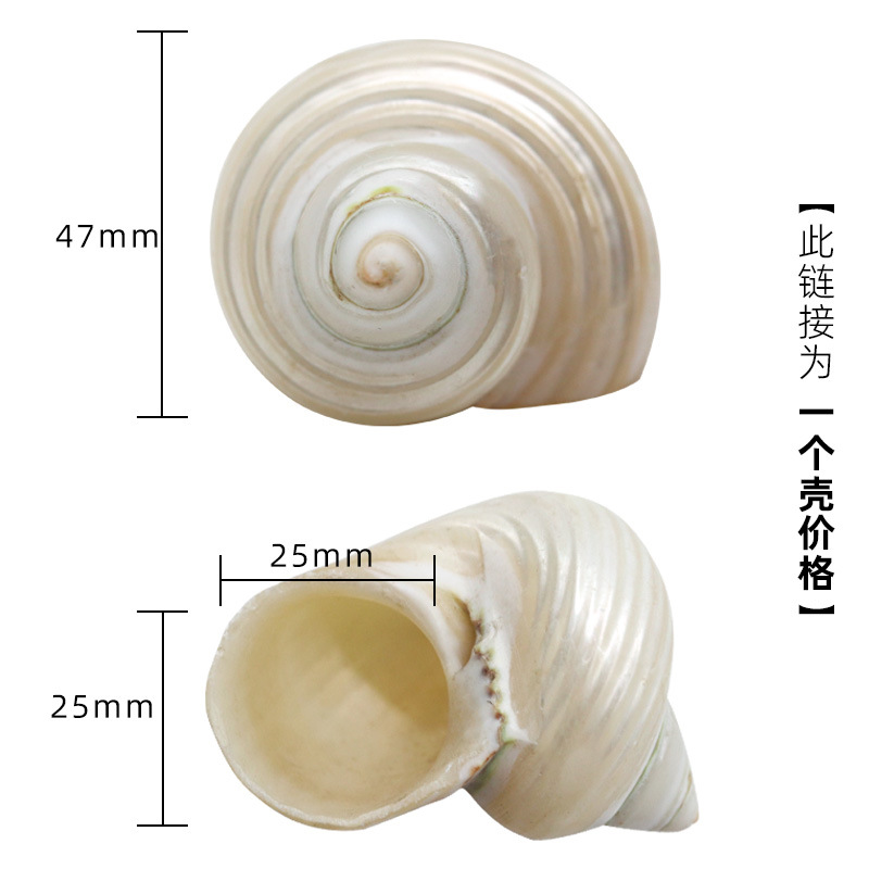 4-5cm 게에 적합한 x34 패턴 달빛 달팽이