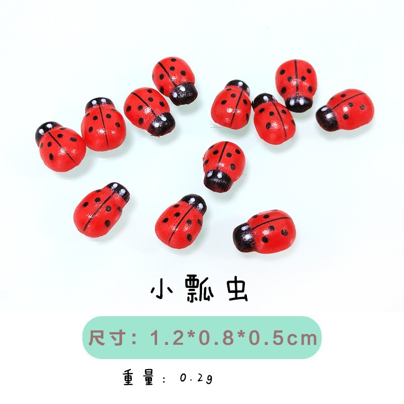 Coccinella septempunctata (단일)