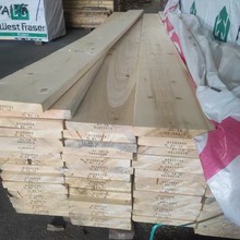 �����Lɳ���������l�����ô���ľ�������ģ��������������b����