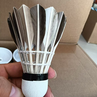 �S��ֱ�Nһ�����l ����ë��ë���ʹ� ����12ֻ�b���WӖ���������l