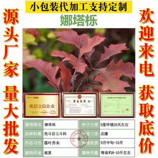 �������N���²�����������N���е����L������������~���^�p