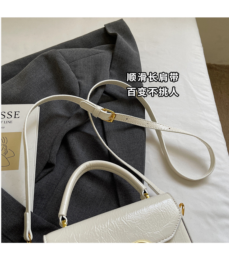This year, the trendy square box bag for women in 2025 is a new, fashionable, versatile and high-quality single-shoulder crossbody bag Specification drawing