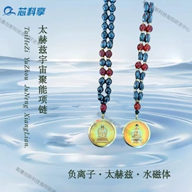 其他智能设备;集成电路;其他按摩器材