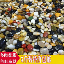 �Z��ʯ������5���껨ʯԭʯ�Zܛů·䁵�ͥԺ�@���쾰��Сʯ���l