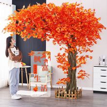 ����t����٘�����S��uצ�ʗ��~�̈����^���ߘ�W�t�򿨼٘�