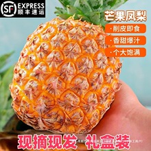 �Fժ���r�����֭����â���P��â����ζ�P�溣���P����S�Y���b