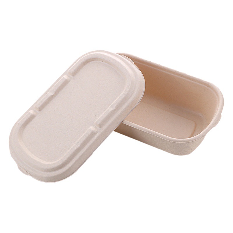 Caja de comida ligera, caja de empaque de picnic de ensalada, lonchera de pulpa de papel desechable, caja de doble rejilla para llevar degradable, cuando se puede calentar
