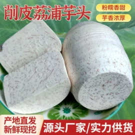 块茎类