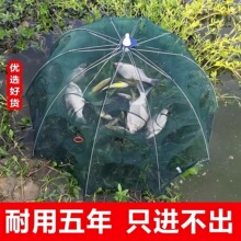 �O�W�~�\���~�W�r�\���q�S�XС���r�~�W�Ԅ��ۯB���r�з���~