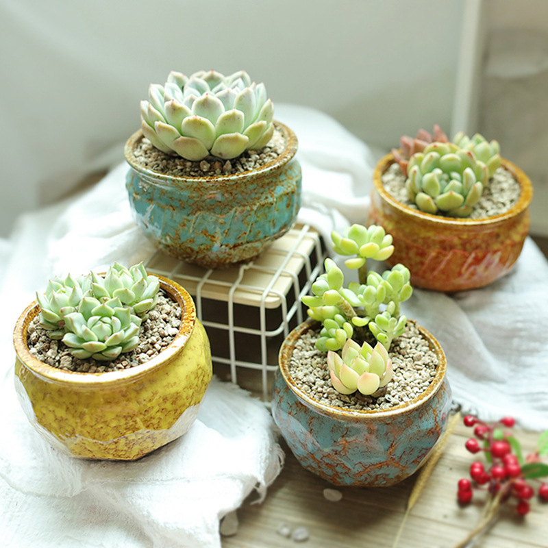 Simple creative kiln change fleshy flowerpot ceramic classical size old pile stoneware breathable wholesale fleshy pot